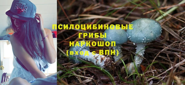 прущая мука Алзамай